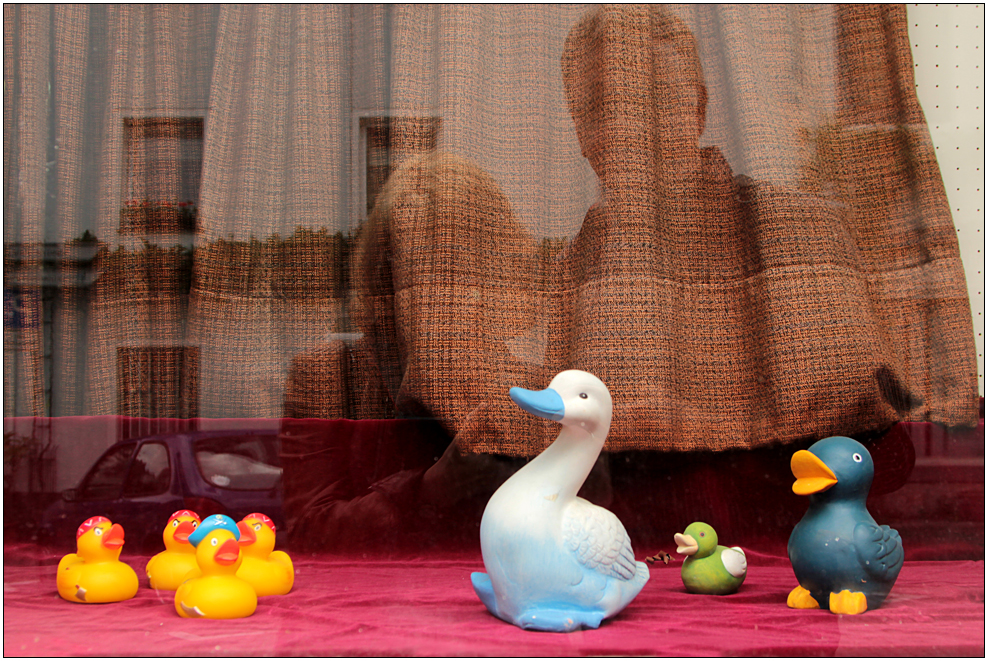 ducks' peep show