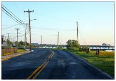 Ducks seem to have the right -a-way on Chincoteague Island