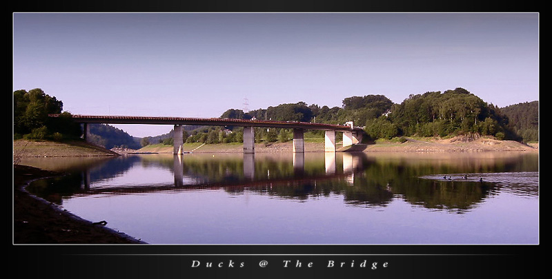 Ducks @ The Bridge