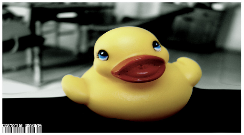 ducky