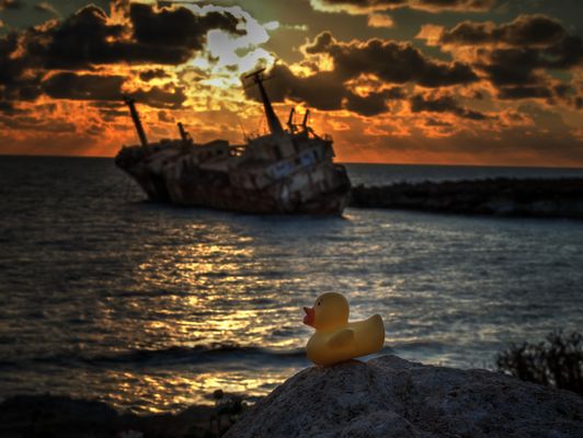 Ducky bei der Edro III