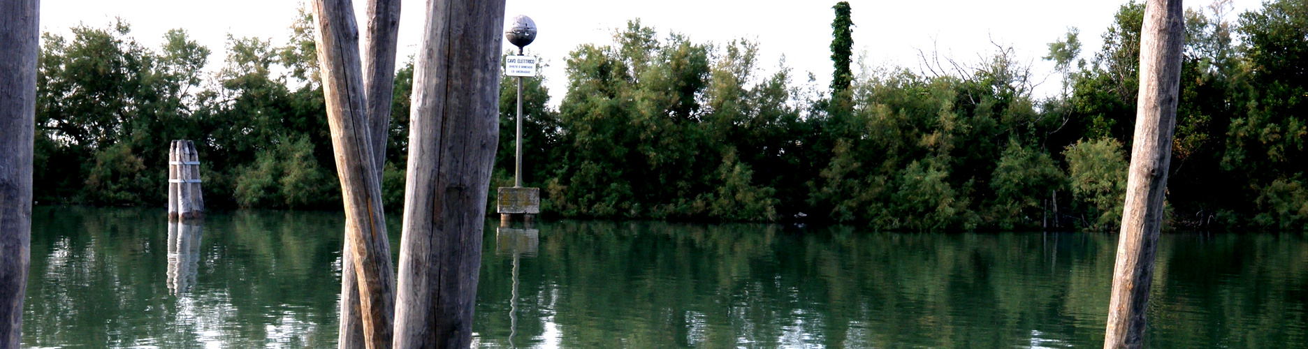 Ducs d'albe les pieds dans l'eau