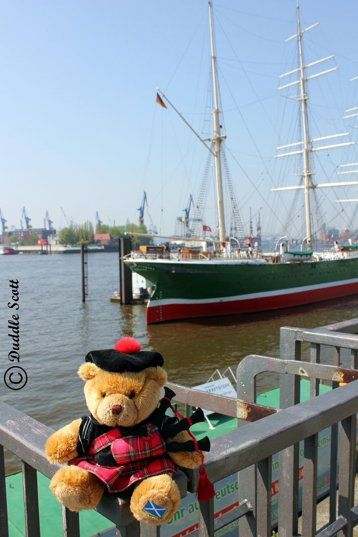 Duddle besucht den Hamburger Hafen