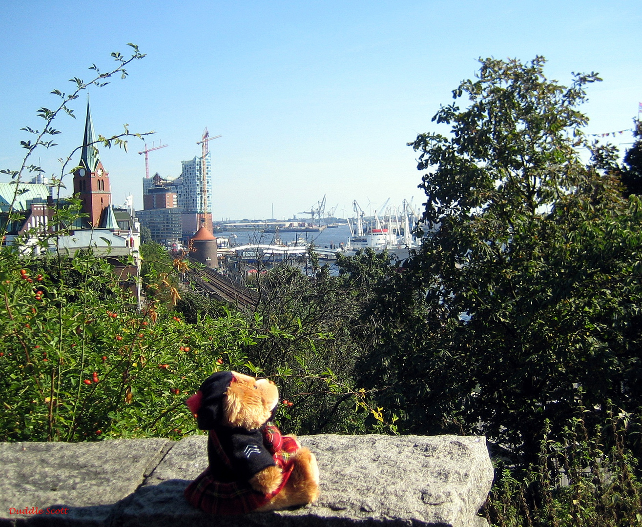 Duddle findet den Herbst in Hamburg