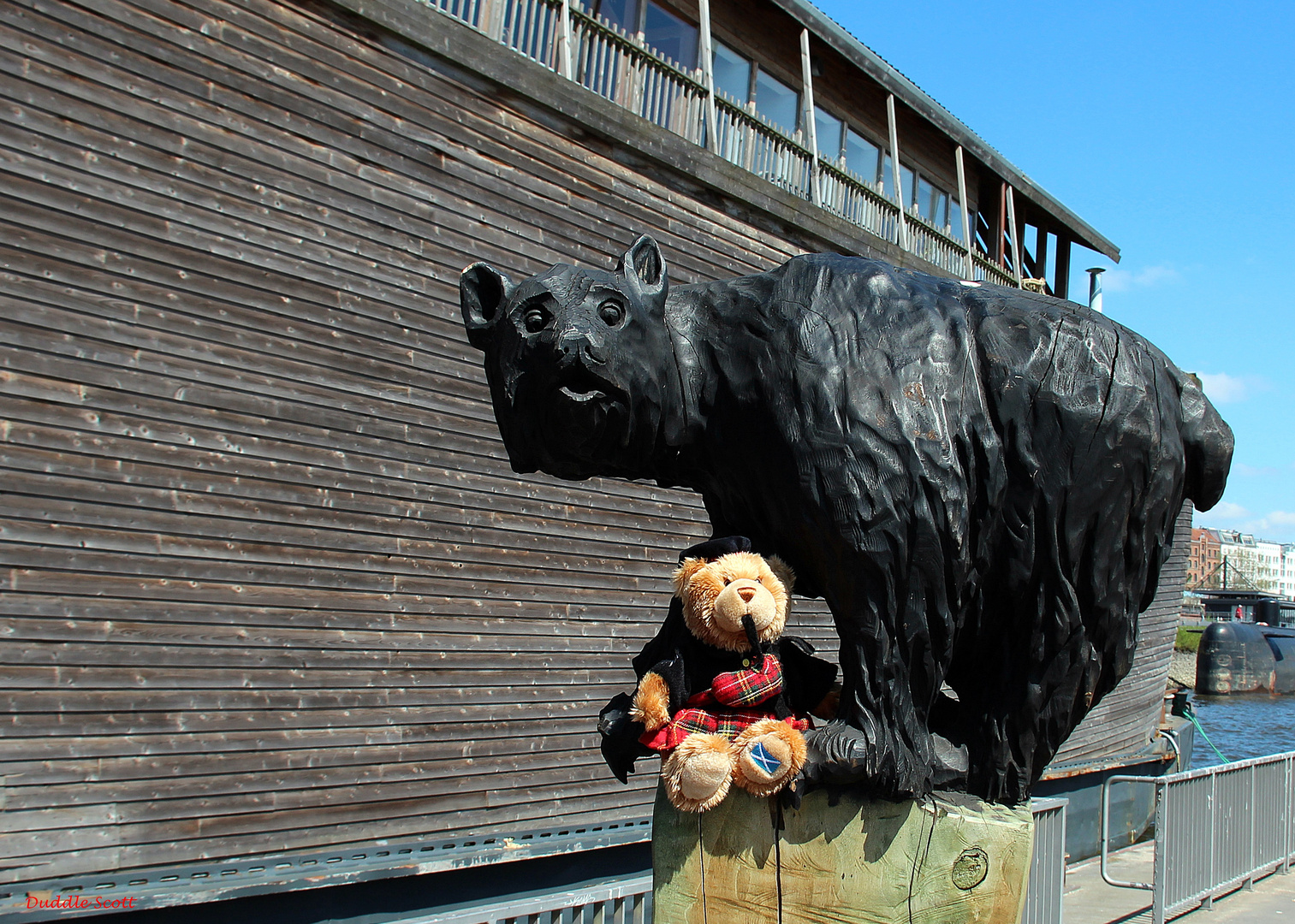 Duddle trifft einen Bären an der Arche Noah