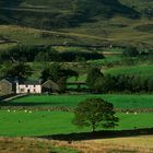 Duddon Valley, Lake District (2)