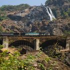 Dudhsagar Falls in Goa