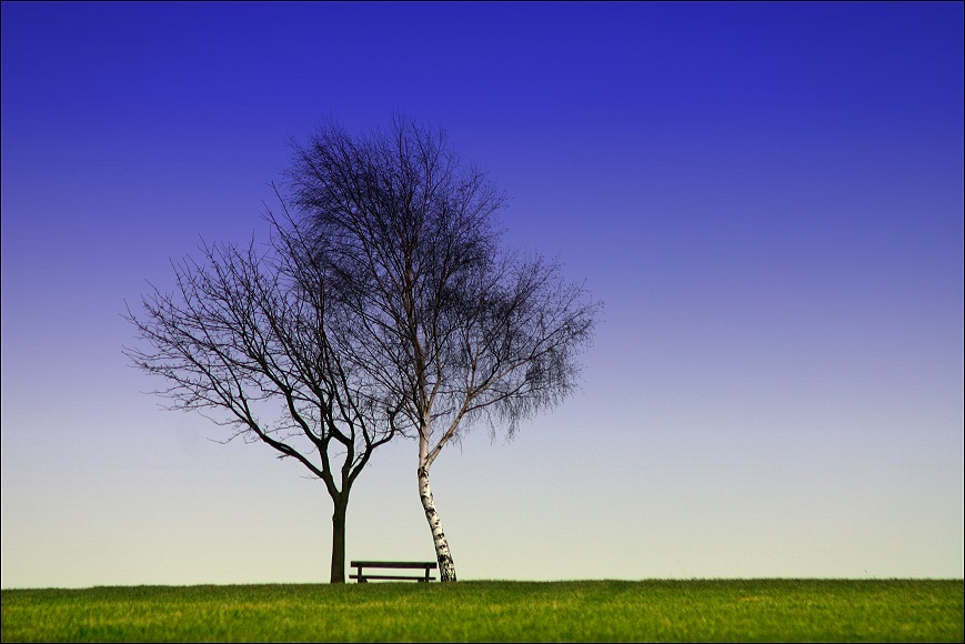 due von Veronika Pinke