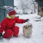 Due amici e un cuore