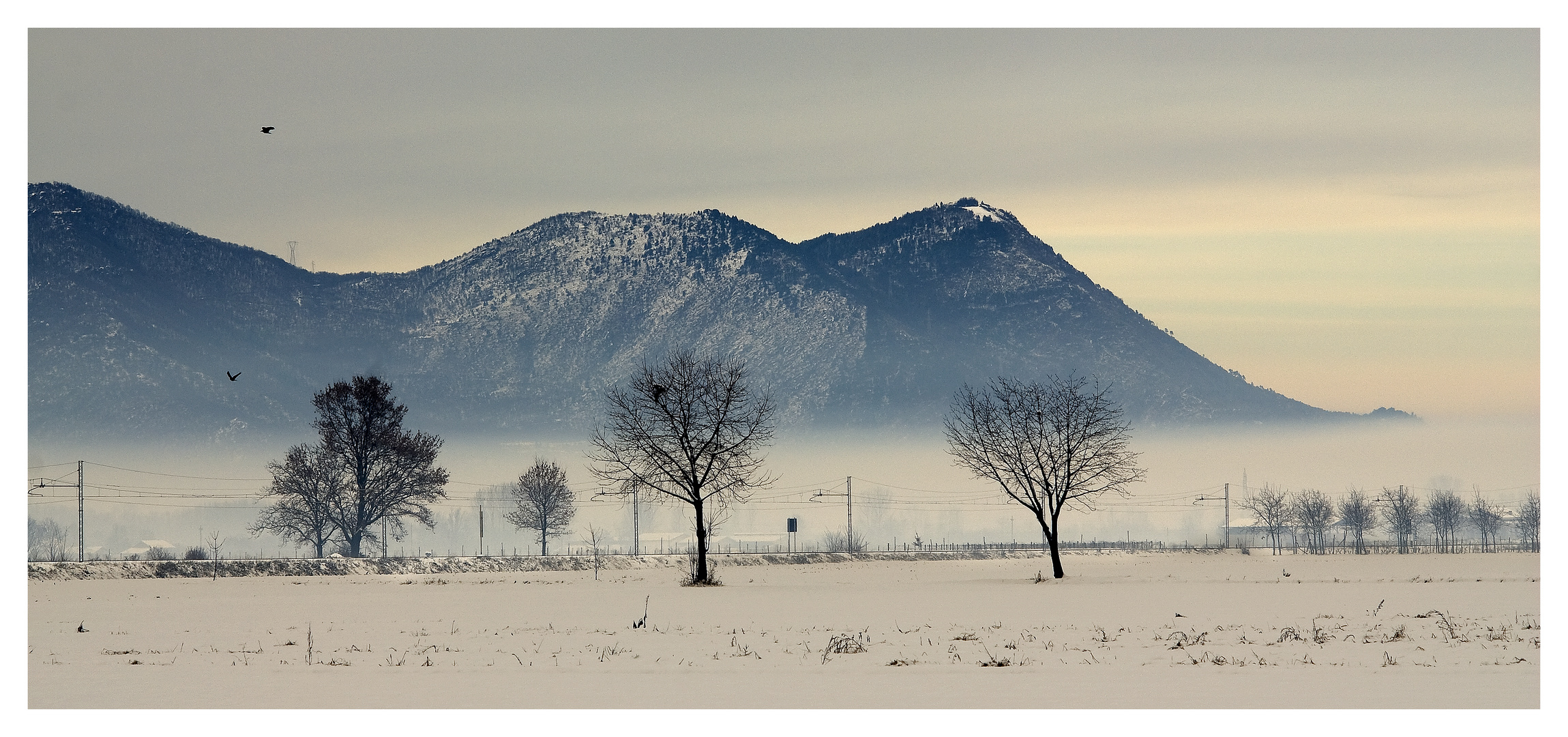 Due battiti d'ali tra la neve