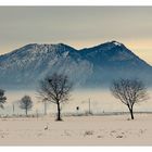 Due battiti d'ali tra la neve