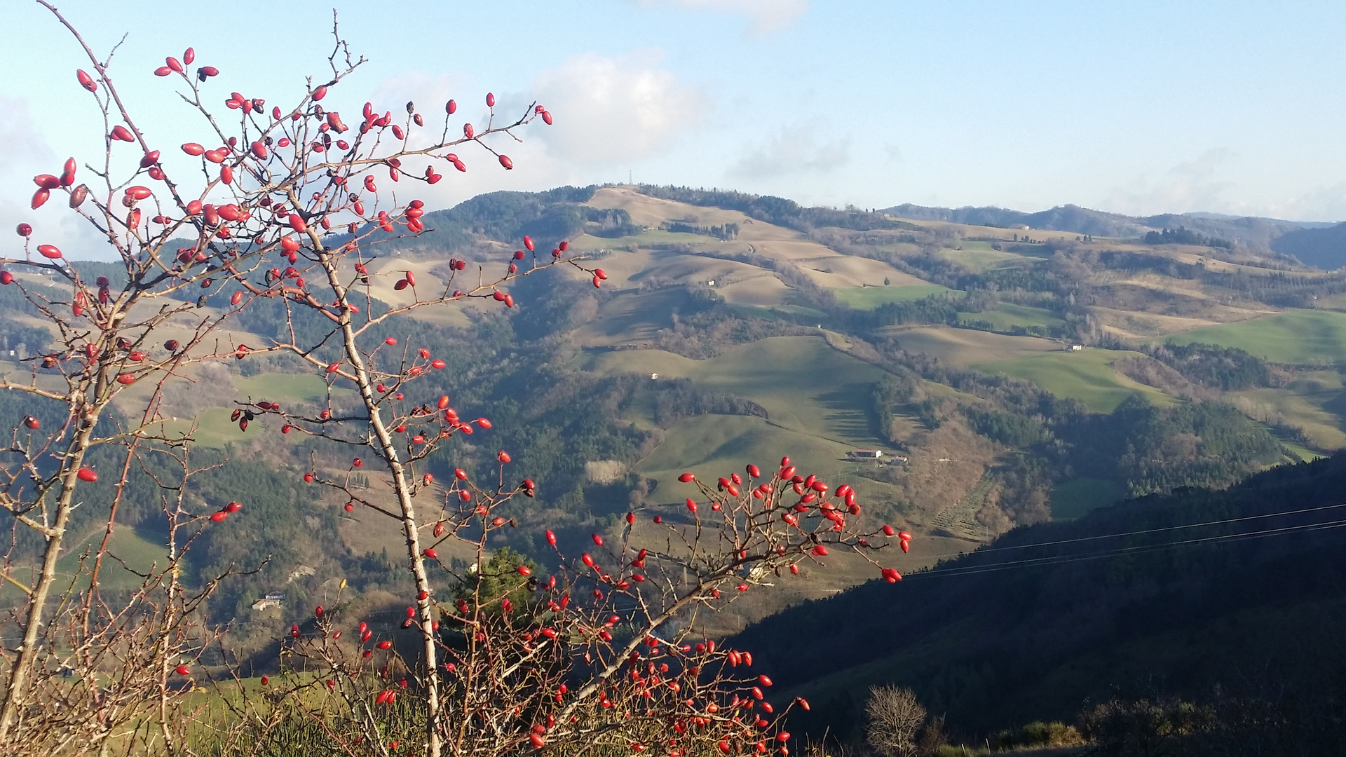 due giorni prima che nevicasse....