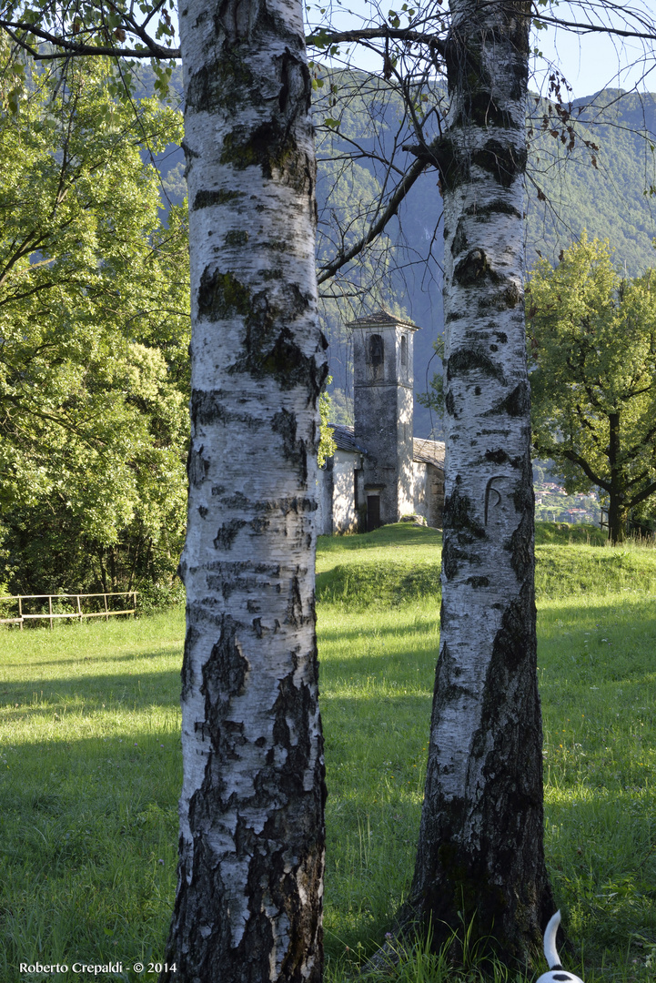 Due tronchi, un campanile e una coda