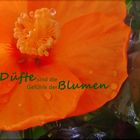 Düfte sind die Gefühle der Blumen