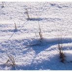 Dühnen im Schnee