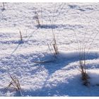 Dühnen im Schnee