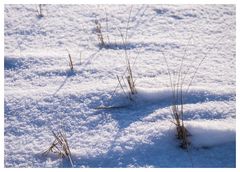 Dühnen im Schnee