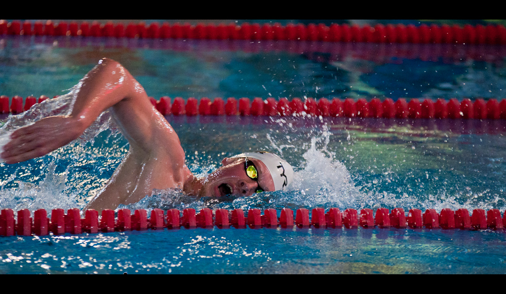 Duel in the pool V