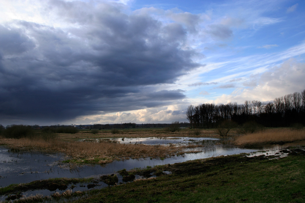 Dümmer See 01