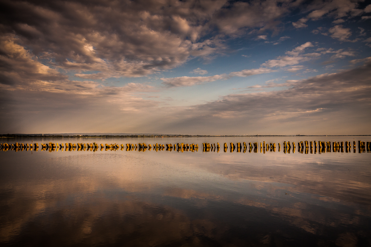 Dümmer See