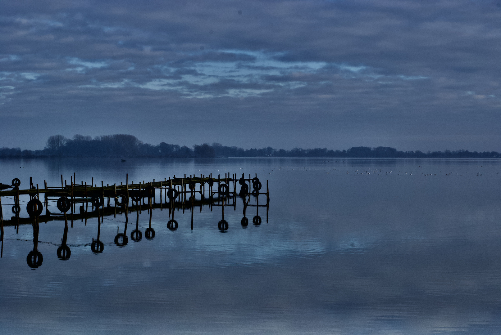 Dümmer See