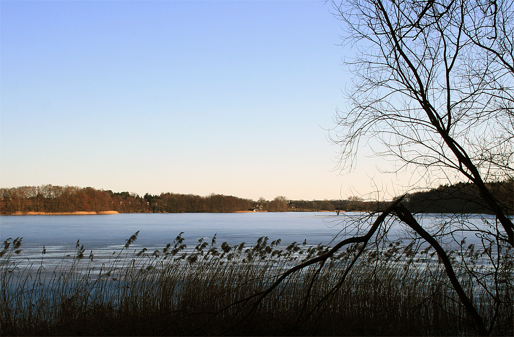 Dümmer See