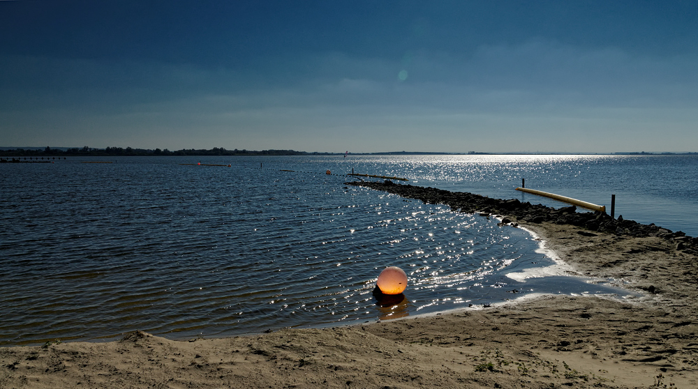 DümmerSee Foto & Bild landschaft, natur Bilder auf DümmerSee Foto & Bild landschaft, natur Bilder auf