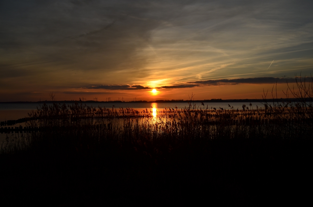 Dümmer See