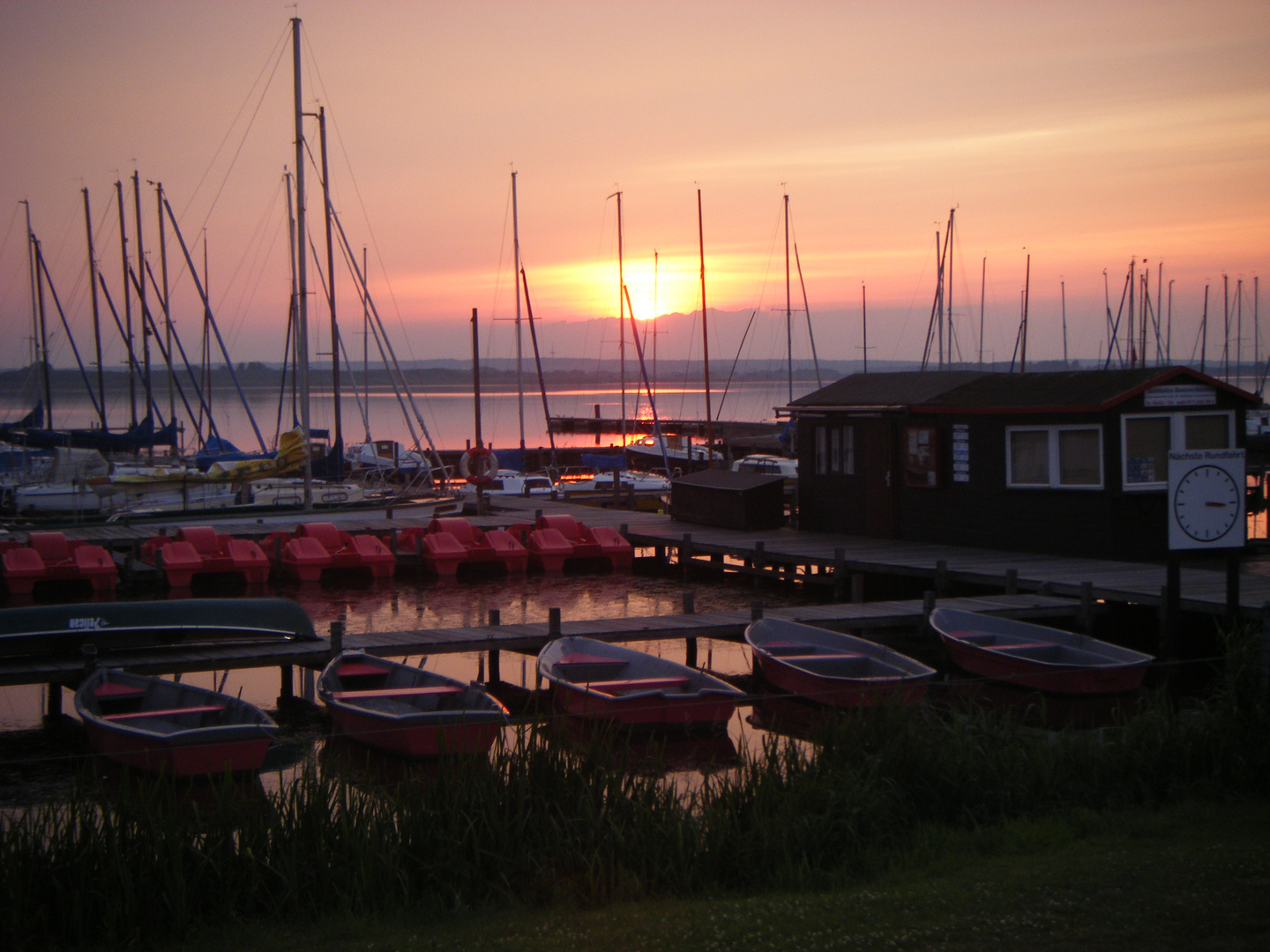 Dümmer See