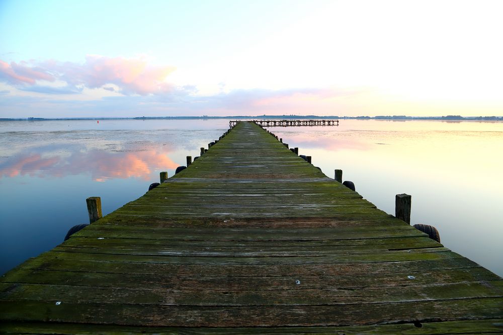 Dümmer See (I)