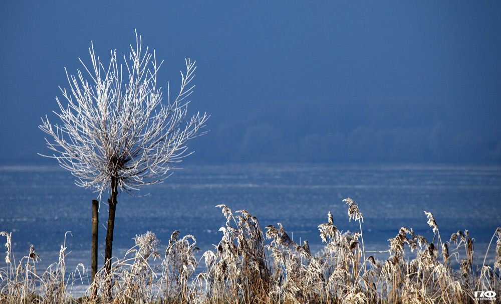 Dümmer See I