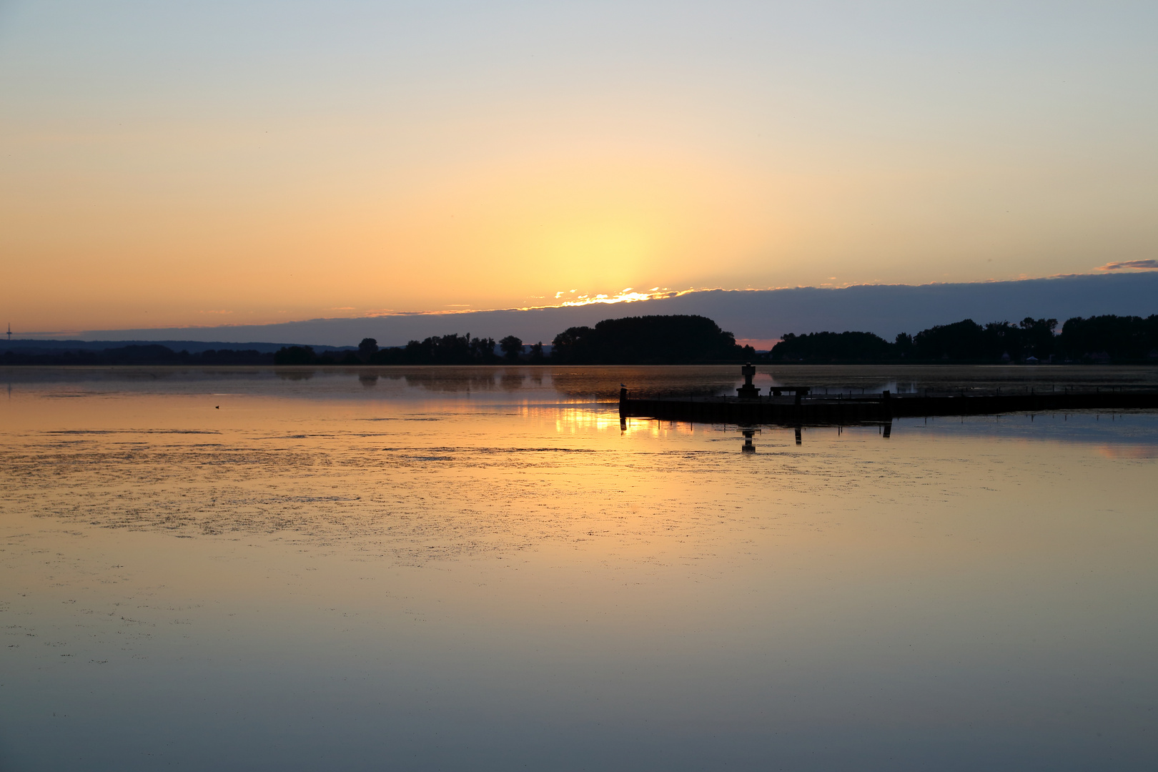 Dümmer See (II)