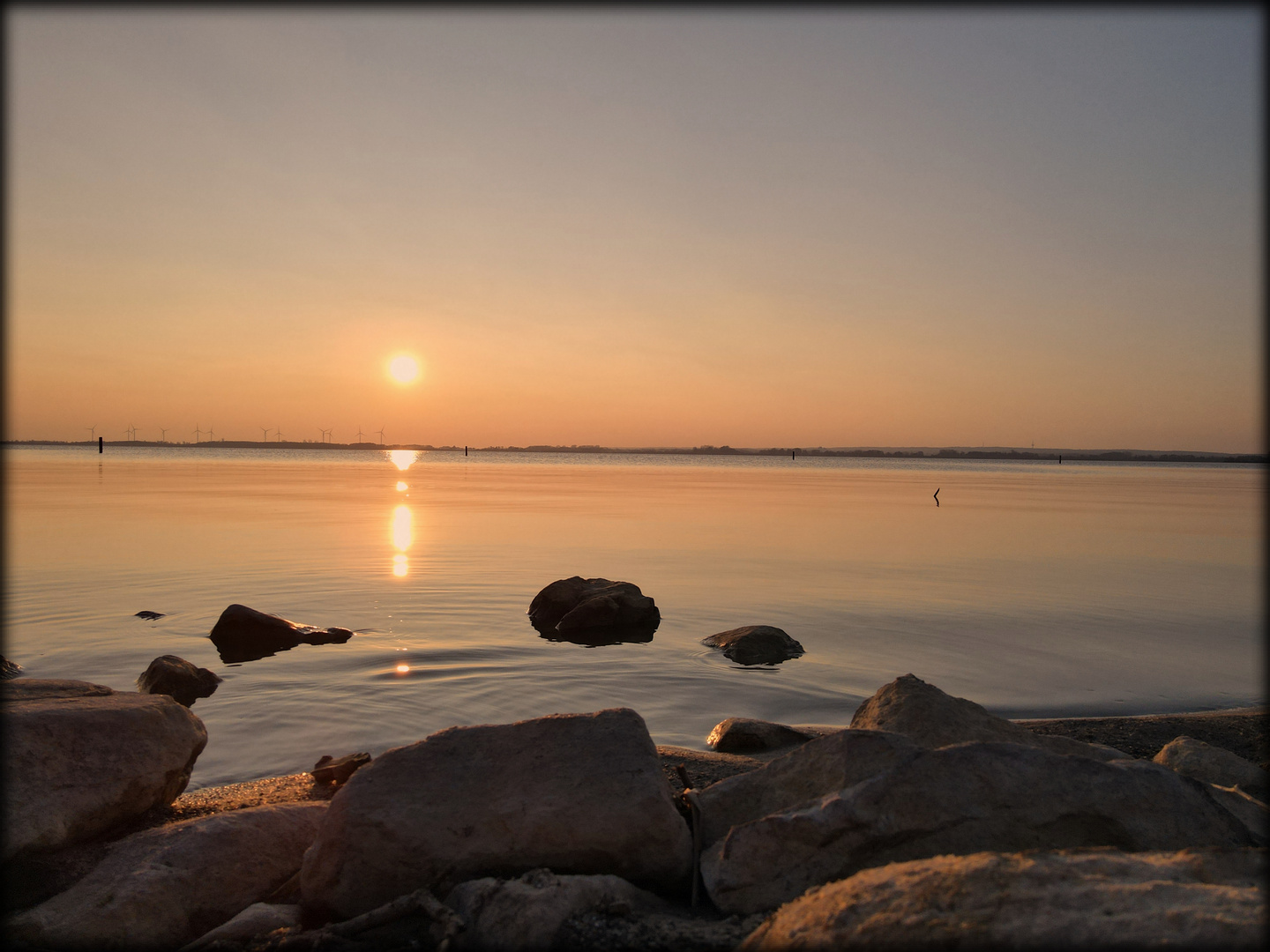 Dümmer See März 22