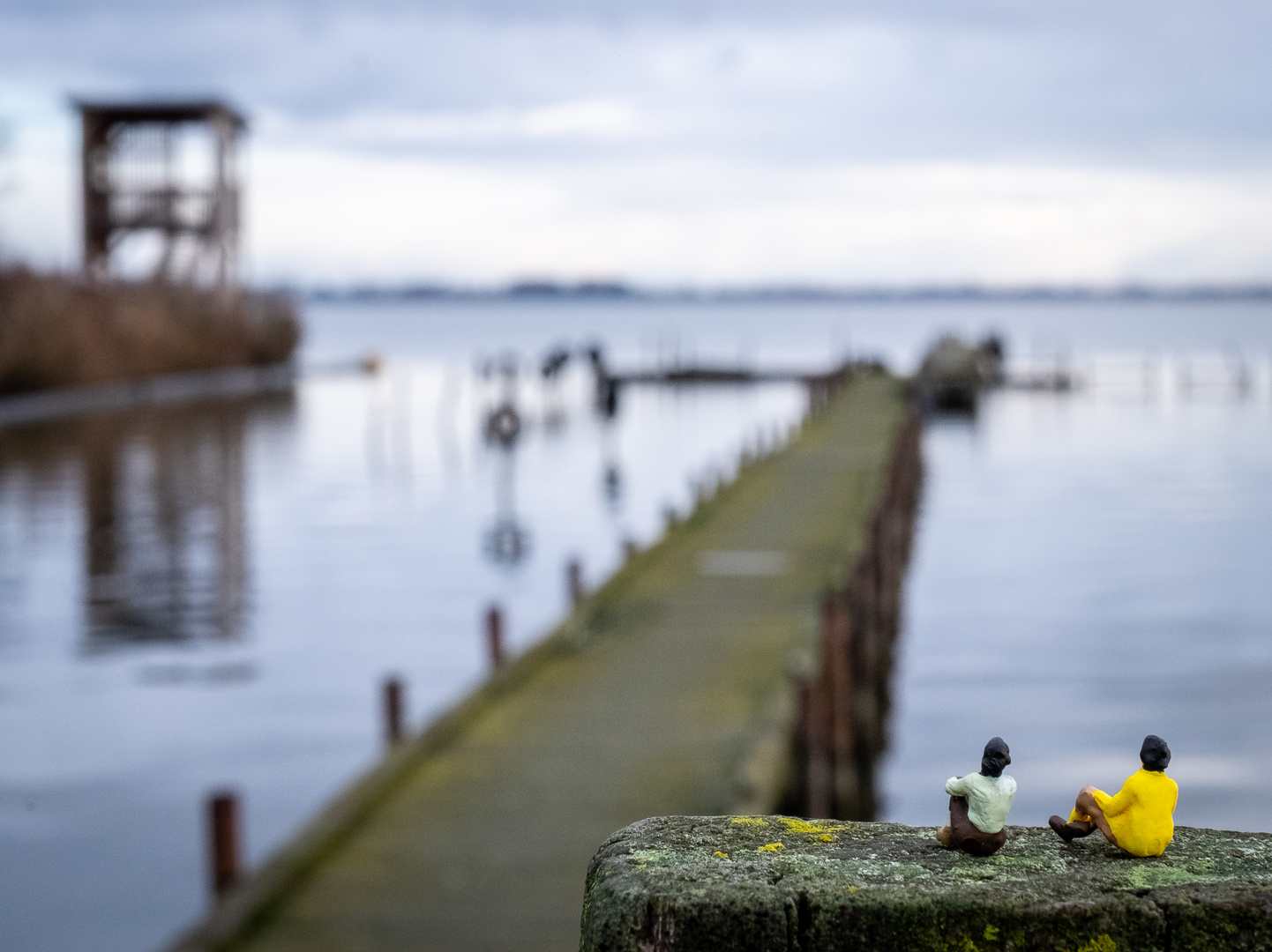 Dümmer See Olgahafen