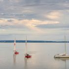 Dümmer See Panoramaformat