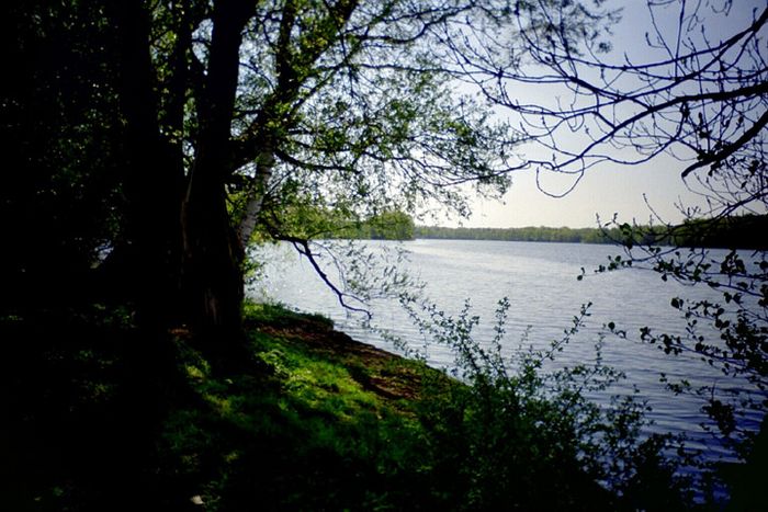 Dümmer See, Schwerin 2003