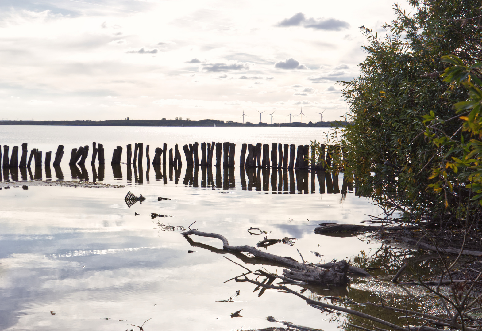 Dümmersee 