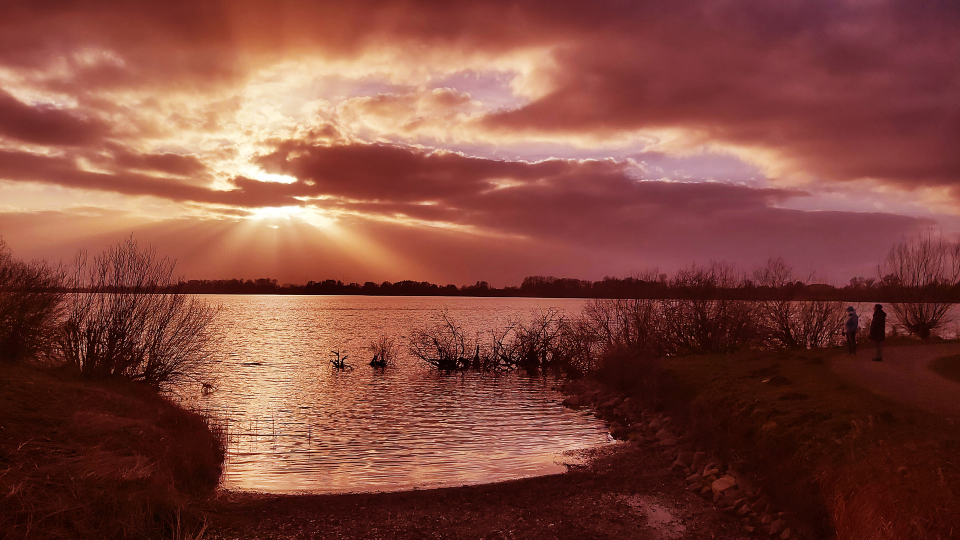 Dümmersee