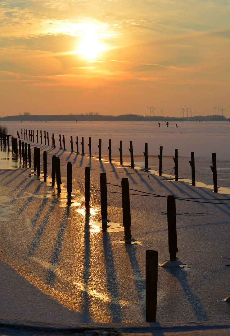 Dümmersee im Winter