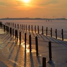 Dümmersee im Winter