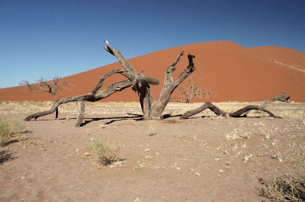 Düne 45 Foto & Bild landschaft, namibia, africa Bilder auf