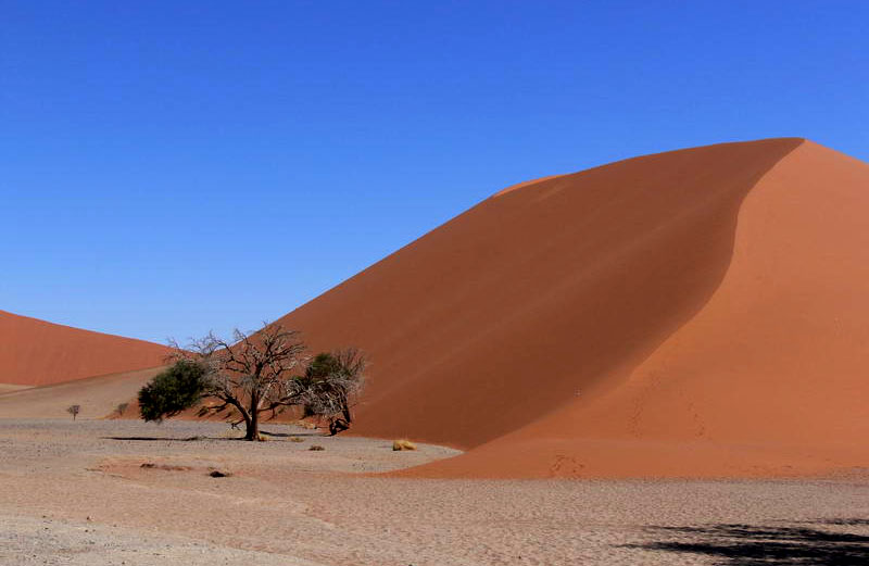 Düne 45 in Sossusvlei (Namibia)