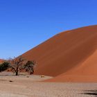 Düne 45 in Sossusvlei (Namibia)