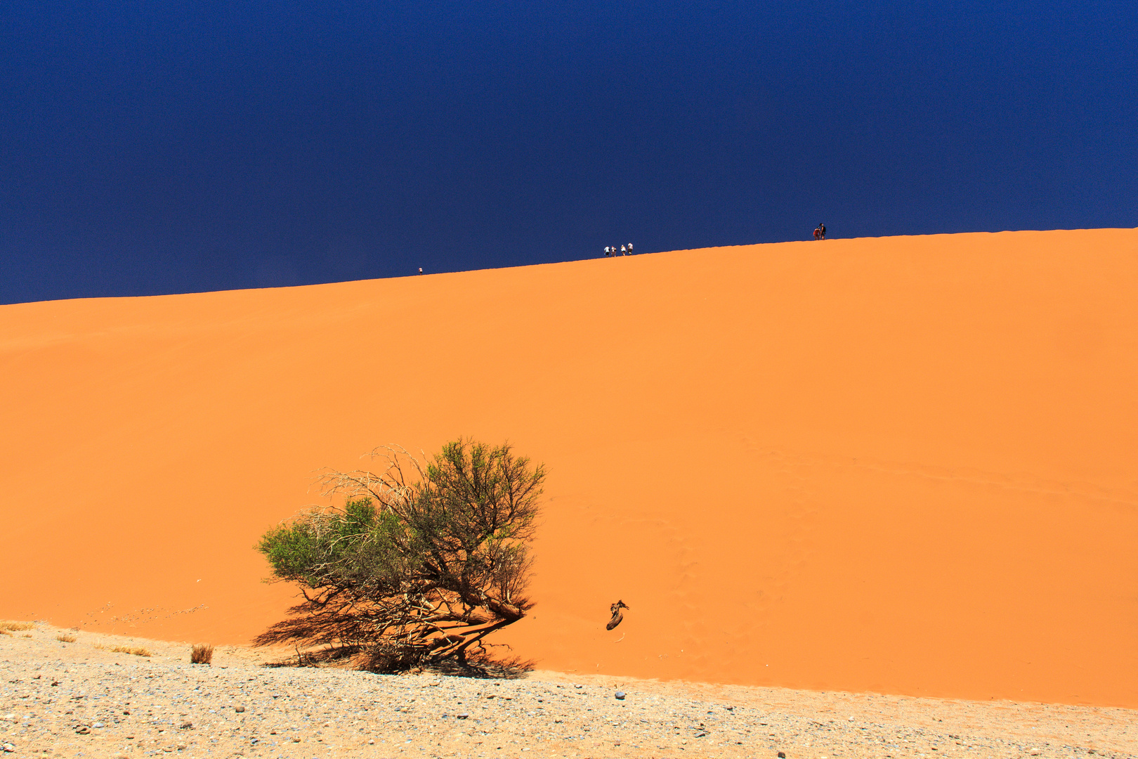 Düne 45 Namib Naukluft Park