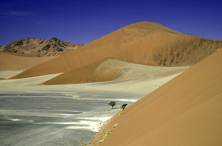 Düne 45, Sossusvlei, Namibia