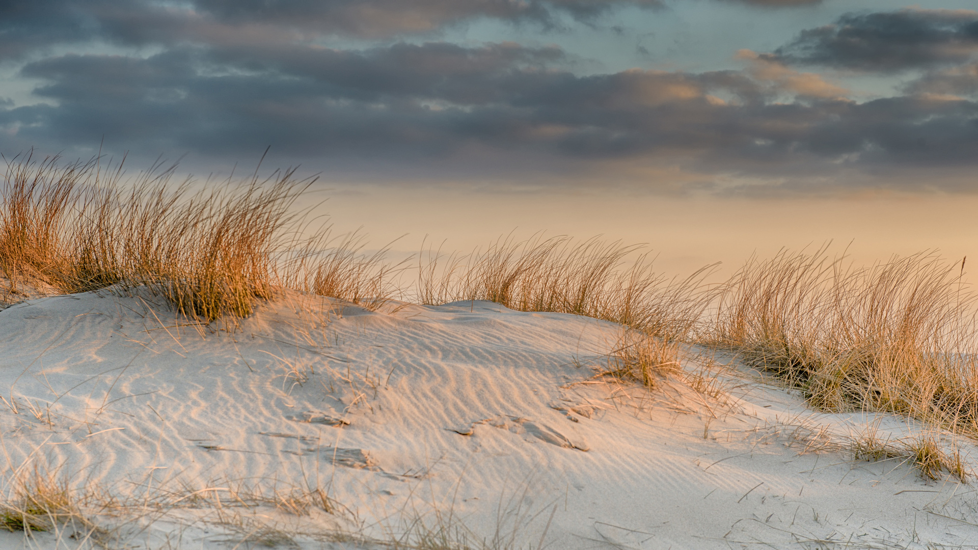 Düne Foto & Bild landschaft, meer & strand, dünen Bilder auf