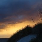 Düne am Abend auf Hiddensee