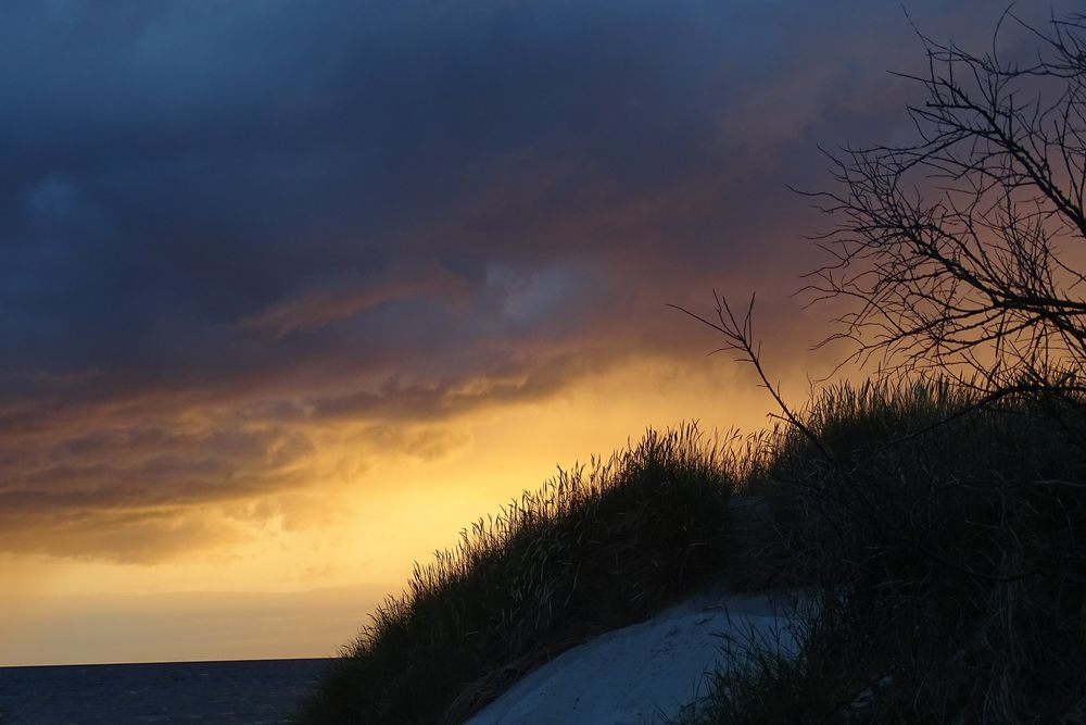 Düne am Abend auf Hiddensee