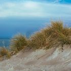 Düne am Bodden 