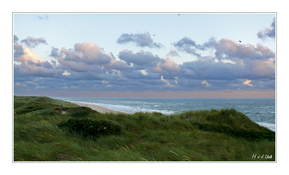 Düne am Ellenbogen